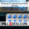 Ginseng For Reinforcing Kidney 300 Mg 40